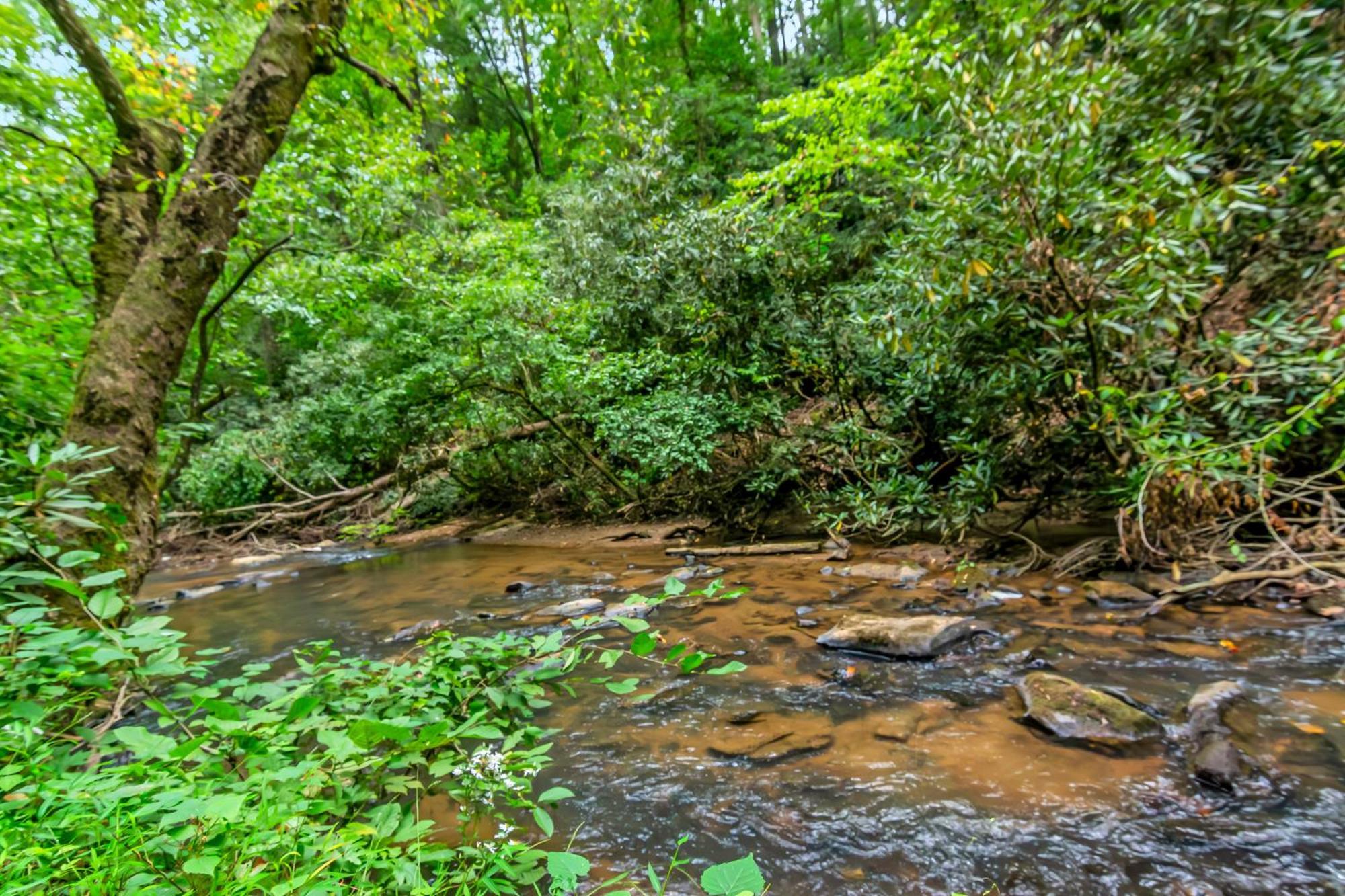 Amazing Creek View Cabin W/ Hot Tub, Firepit & Pool Table 埃利杰 外观 照片
