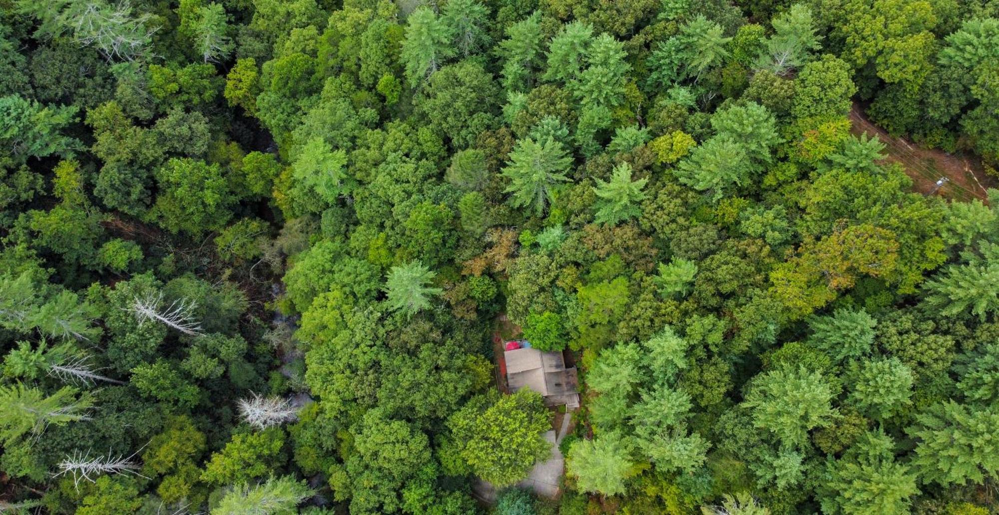 Amazing Creek View Cabin W/ Hot Tub, Firepit & Pool Table 埃利杰 外观 照片